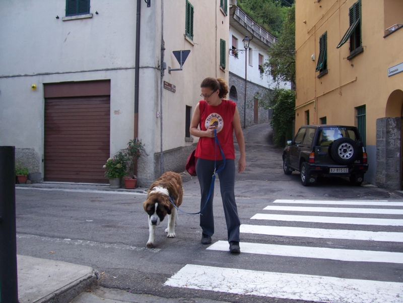  Image name: Persone038.jpg 
 width: 800 pixel 
 height: 601 pixel 
 Size: 383720 bytes 
 Click to enlarge 